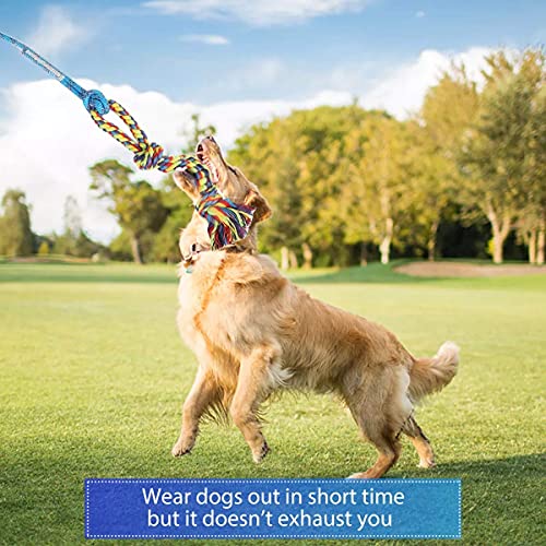Flirt Pole for Dogs Interactive Chase Toy for Large Medium Small Puppy Dogs (blue-dog pole toy)