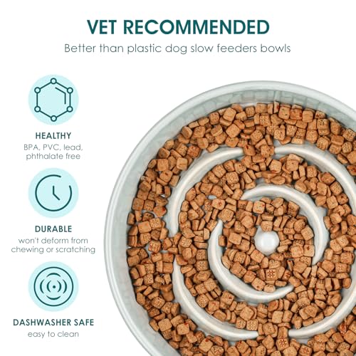 Slow Feeder Dog Bowl (M - 1.5 Cups / Grayish Cyan)