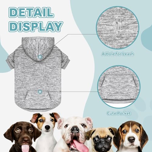 Dog Sweaters for Small Dogs Hoodie Fleece Dog Sweater Soft Clothes Sweatshirt with Pocket Hoodie for Small Dogs Puppy (Small / Grey)