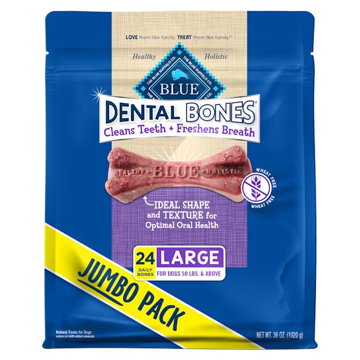 Large Dental Bones (36 Ounce (Pack of 1))