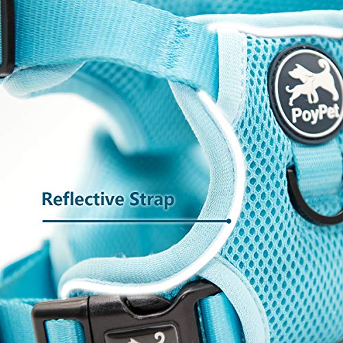 Mesh Dog Harness (M / Blue)