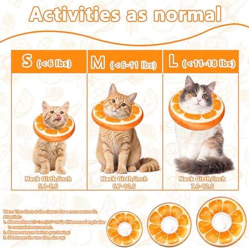 Cat Cone Collar Soft (Orange / Medium)