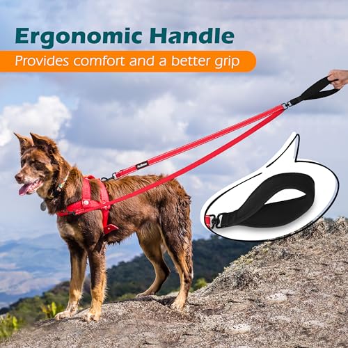 Two Point Control Dog Leash (Red)