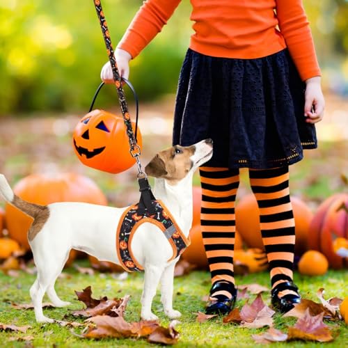 Halloween Dog Harness (Halloween Black / XS (CHEST 13"-14.5"))