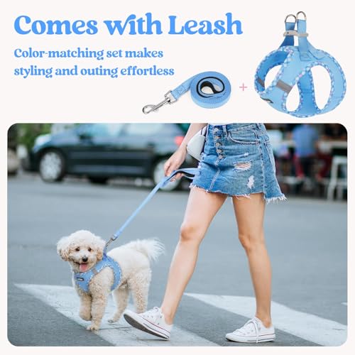 Dog Harness Small Sized and Leash Set (Blue & Plaid Trim / S (chest: 15.1 - 16.5"))