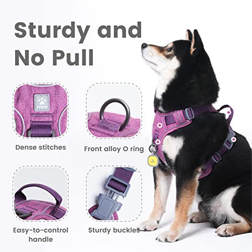 Dog Harness No (XS (Doesn't include O rings(Chest: 12"-17" )) / Orchid Purple)