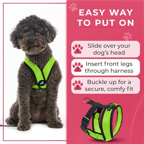 Comfort X Head (Medium Chest (14.25-18.75") / Green)