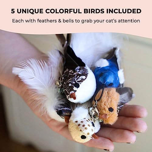 Interactive Bird Simulation Cat Toy Set (Bird Toy Set with 5 Birds)