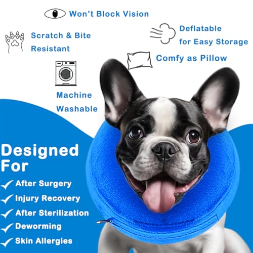 Inflatable Dog Cone Collar (Blue / Large [Neck: 13"-18"])