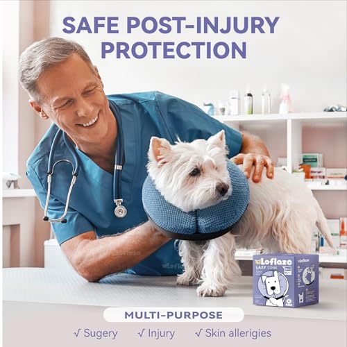 Inflatable Dog Cone Collar (XL(Neck 17"-20") / Blue)