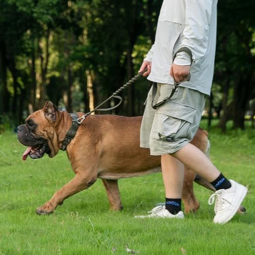 5 6FT Military Bungee Dog Leash Adjustable Elastic (Black)