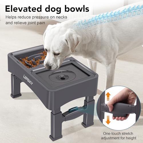 2-in-1 Elevated Dog Bowls Set with 4 Height Adjustable Stand, Gray (A-Water Bowl+Slow Feeder (Grey))