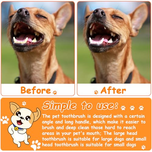70 Pcs Dog Tooth Brush Dual Headed Pet Toothbrush (Multicolor)
