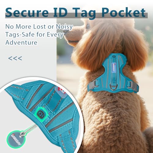 No Pull Dog Harness for Small Sized Dogs (Small(Chest:19.5-26”) / Aqua-Oxford)