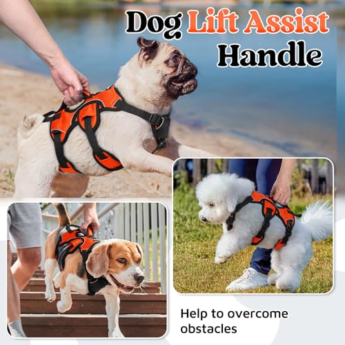 Escape Proof Dog Harness for Small (Orange / Small)