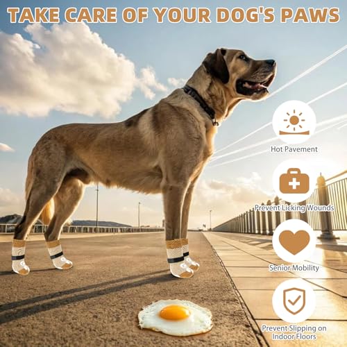 Dog Socks for Hot