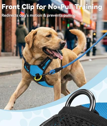 No Pull Dog Harness for Extra Large Dogs (X-Large / SkyBlue)