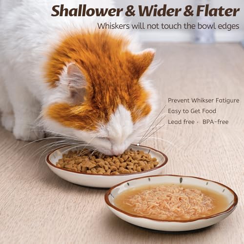 Clock Cat Food Bowl (Clock-3 Pack)
