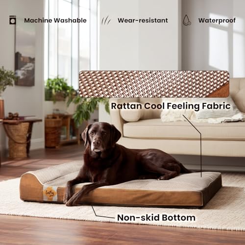 Orthopedic Dog Beds for Large Dogs (40.0"L x 25.0"W x 5.5"Th / Brown)