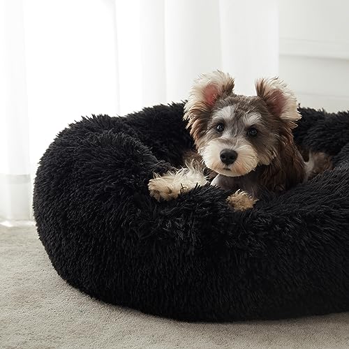 Calming Dog Bed & Cat Bed (Black / 30.0"L x 30.0"W x 8.0"Th)