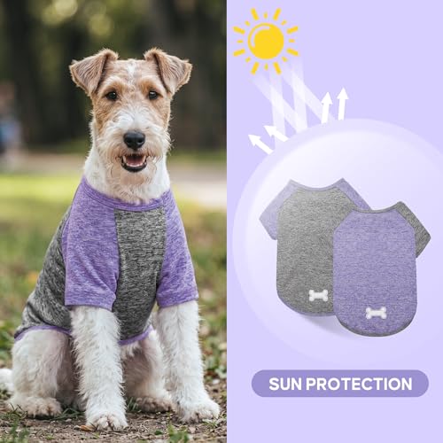 2Pack Dog Shirt for Small Dogs Sun Protection Tank Top with Sleeves (Large (13-19lbs) / 4# 2Pack(Purple+Grey))