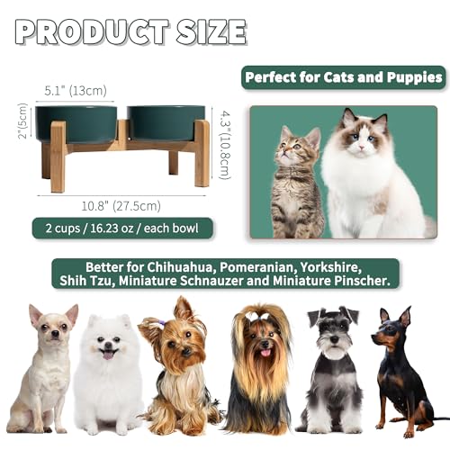 Elevated Ceramic Dog Bowl (Green / Small)