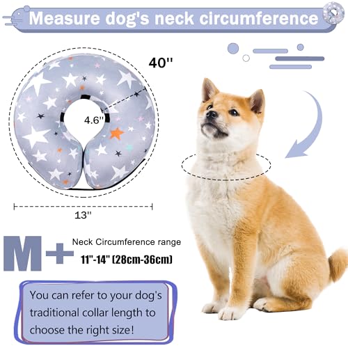 Recovery Donut Collar for Dogs & Cat (Grey / M+（neck 11"-14"）)