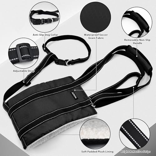 Dog Lift Harness for Senior (Black / L)