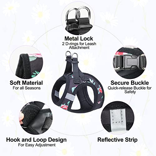 Small Dog Harness and Leash Set (XX-Small(Chest Girth 11.5"-13") / Black Rose)