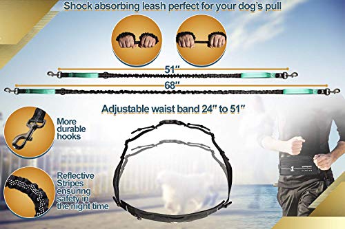 Hands Free Dog Leash (Premium Teal / 1 dog M/L)