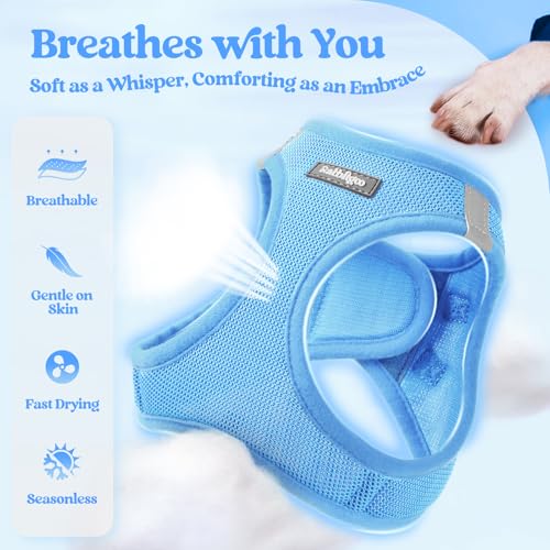 Dog Harness Small Sized and Leash Set (Blue / S (chest: 15.1 - 16.5"))