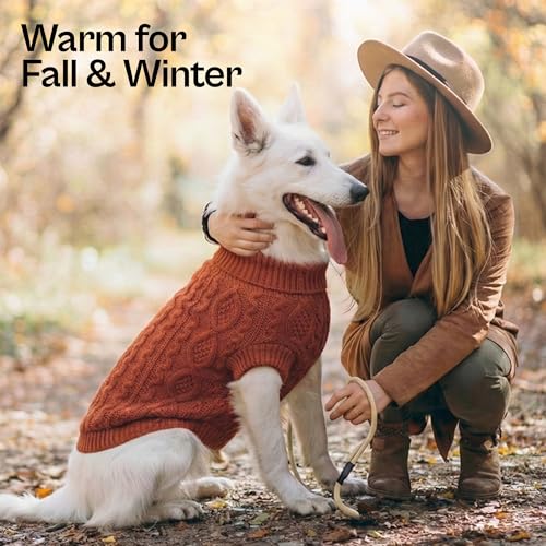Unisex Dog Sweaters (2XL / Cable Knit Terracota)
