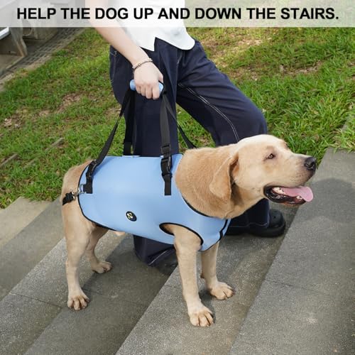 Dog Lift Harness (Extra Large / Blue)