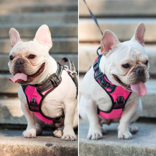 No Pull Dog Harness Small with Front Clip & Neck Release Buckle (S / Pink)