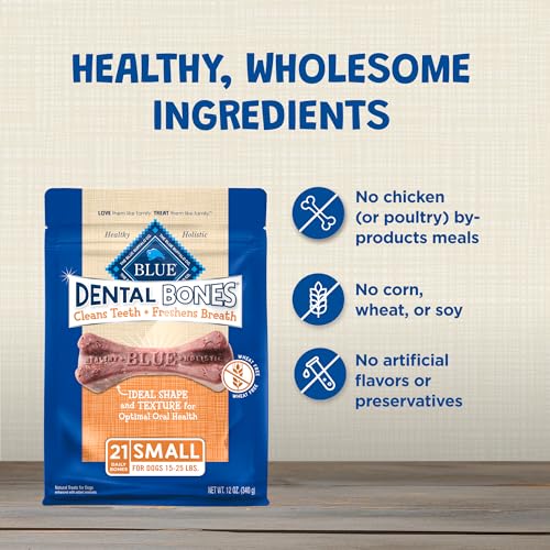 Small Dental Bones (12 Ounce (Pack of 1))
