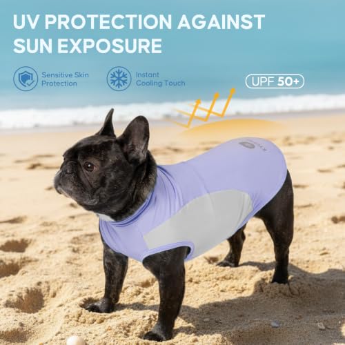 2Pack Dog Cooling Shirt with UPF 50+ UV Protection (Small (4-7lbs) / Purple)