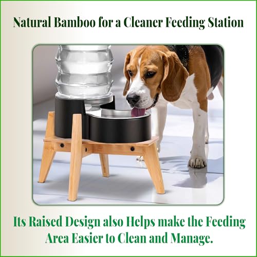 Dog Water and Food Dispenser Stand for Medium Dogs (Mid-Large (Rectangular) / Bamboo-DM)