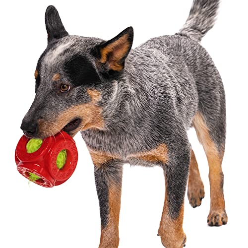 Holiday Collection 2 (2-in-1 Cage Ball Toy / Small)