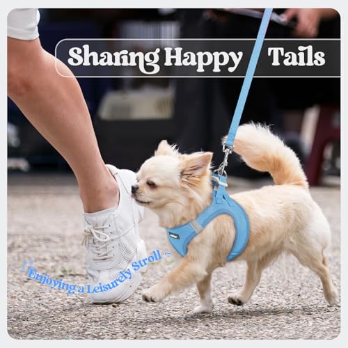 Dog Harness Medium Sized and Leash Set (Blue / M (chest: 16 - 18.5"))
