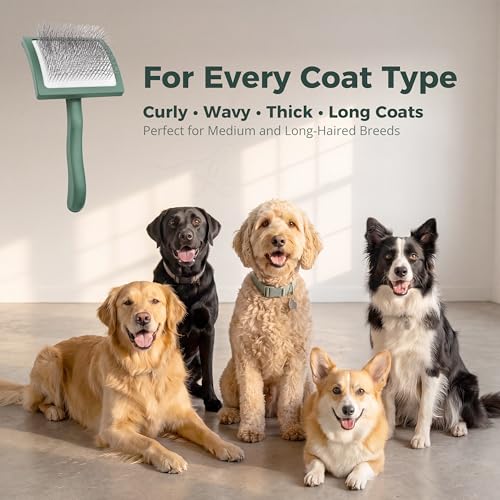 Doodle Slicker Brush for Dogs