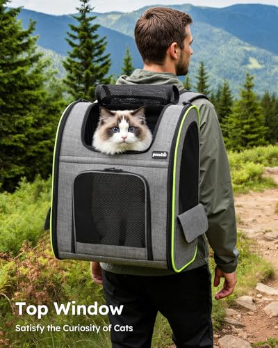 Cat Backpack Expandable (Grey / 15.4"L x 11.0"W x 19.0"H)
