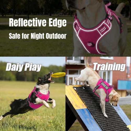 Dog Harness and Leash Set for Small Dogs (Rose Red / S)