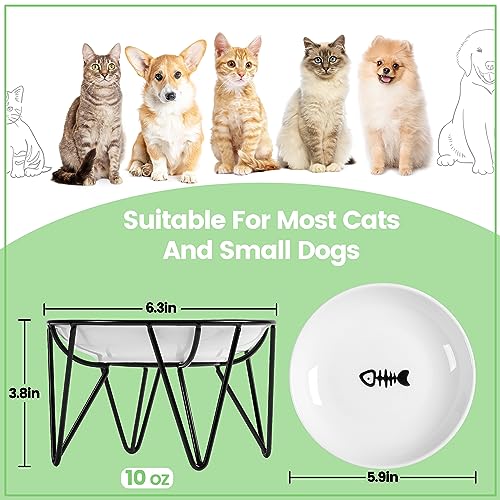 Ceramic Elevated Cat Bowls (raised dish,1 pack / fishbone)