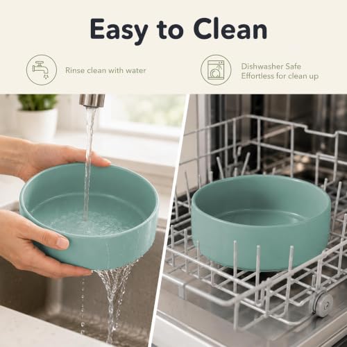 Ceramic Dog Bowls (Light Green)