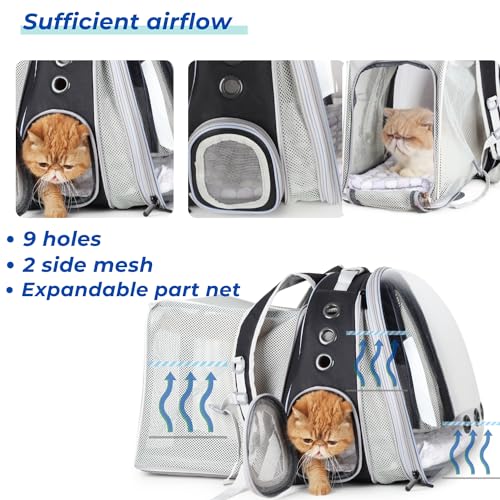 Expandable Cat Backpack Carrier for Large Cats & Small Dogs (Dual Expandable-Black)