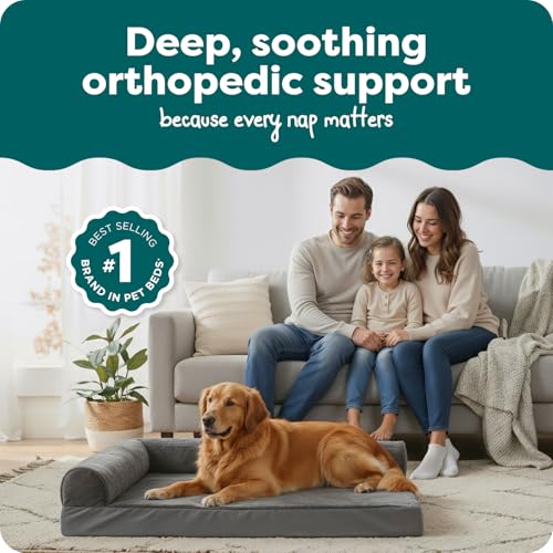 Orthopedic Dog Bed for Large Dogs (Jumbo / Platinum Gray)