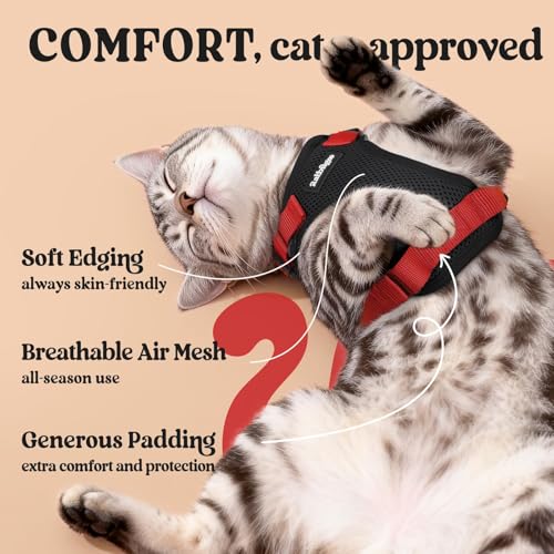 Cat Harness and Leash Set (S / Black & Red)