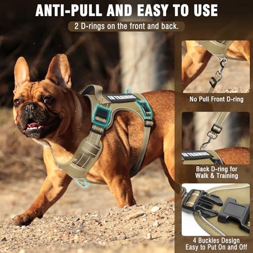 Tactical Dog Harness and Leash Set Medium Sized Dog+10 Dog Patches (Medium / Brown)