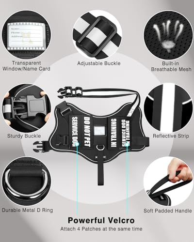 Service Dog Vest Harness and Leash Set+10 Patches for Puppy Small Dogs (Extra-Small / Black)