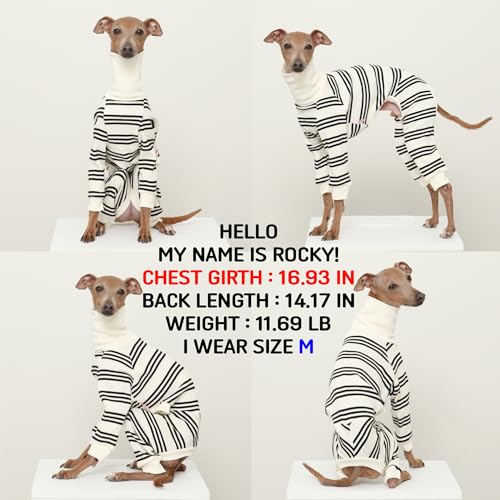 D Doggy Star Italian Greyhound Clothes Soft Stretchy Onesie Refined Stripe Outfit Whippet for Dog Coat (3XL / Onesie Black Stripe)